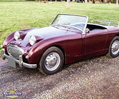1959 Austin Healey Sprite Roadster Bugeye