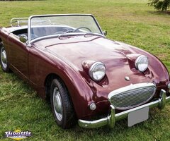 1959 Austin Healey Sprite Roadster Bugeye