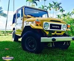 1982 TOYOTA LAND CRUISER FJ40
