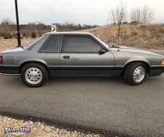 1989 Ford Mustang LX