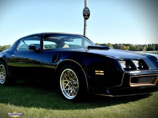 1981 Pontiac Trans Am Bandit