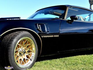 1981 Pontiac Trans Am Bandit