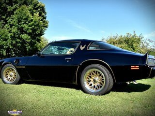 1981 Pontiac Trans Am Bandit