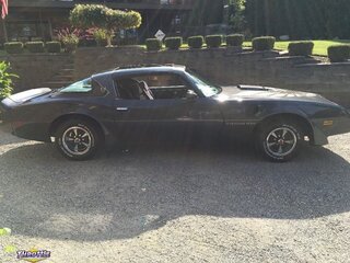 1981 Pontiac Trans Am T top