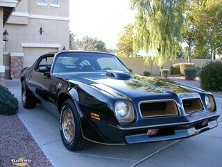 1976 Pontiac Trans Am Matching Numbers
