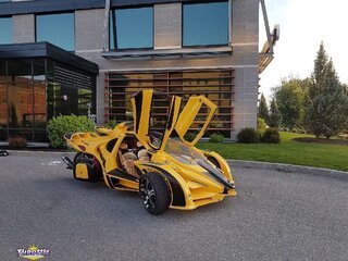 2001 Campagna T-rex Aero 3S Unique