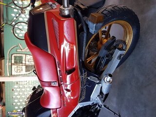 1985 Suzuki RG500 Gamma Walter Wolf