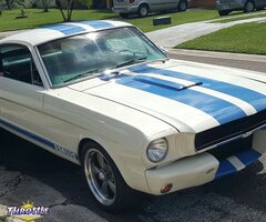 1966 Ford Mustang 2+2 Fastback GT-350