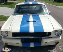 1966 Ford Mustang 2+2 Fastback GT-350
