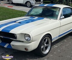 1966 Ford Mustang 2+2 Fastback GT-350