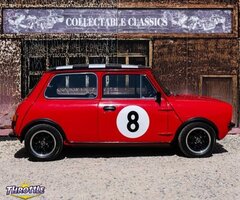 1975 Leyland Mini RHD