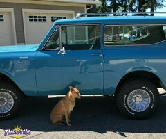 1980 International Harvester Scout II