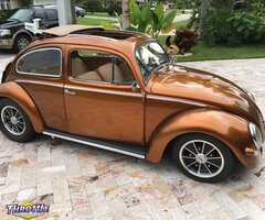 1952 Volkswagen Beetle-Classic Rag Top