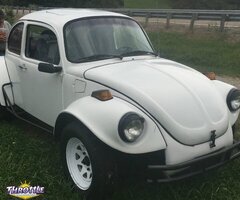 1973 Volkswagen  Beetle - Classic Baja Buggy VW Bug 1