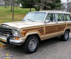 1989 Jeep Grand Wagoneer 4 Door