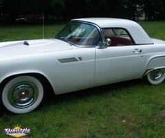 1955 Ford Thunderbird Convertible 292 V-8