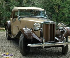 1953 MG T-Series